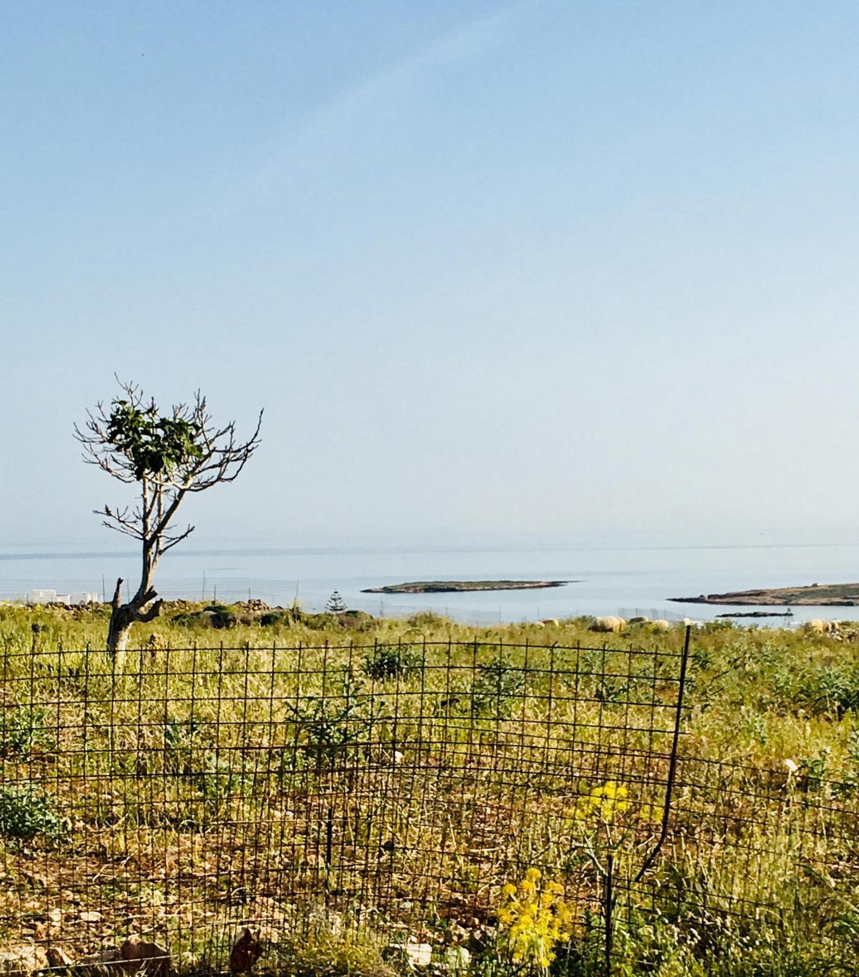 ナウサ Cycladic Houseヴィラ エクステリア 写真